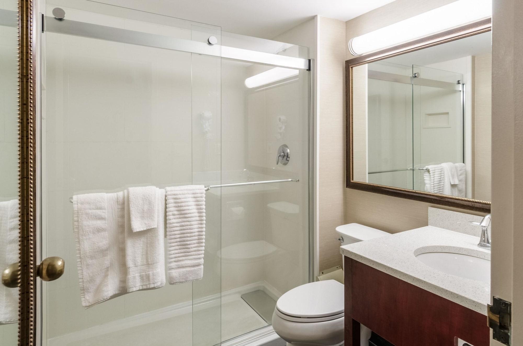 Comfort Inn & Suites West Springfield Eksteriør bilde