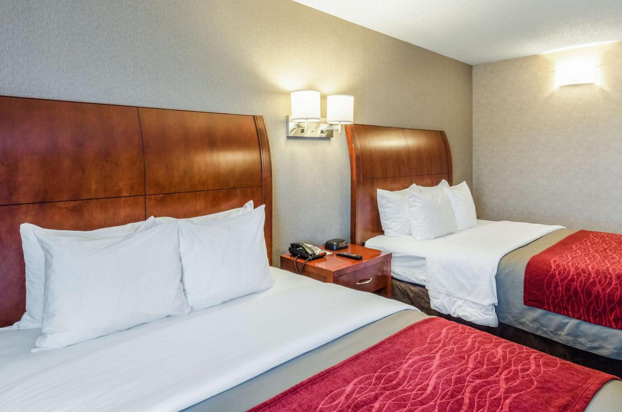 Comfort Inn & Suites West Springfield Eksteriør bilde