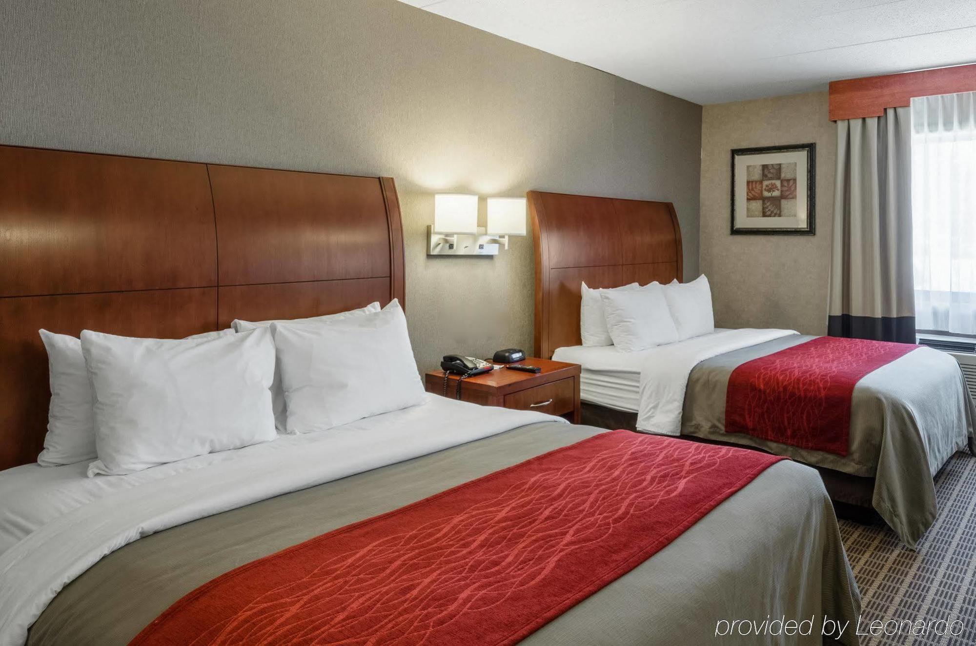 Comfort Inn & Suites West Springfield Eksteriør bilde